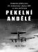 Jay A. Stout: Pekelní andělé