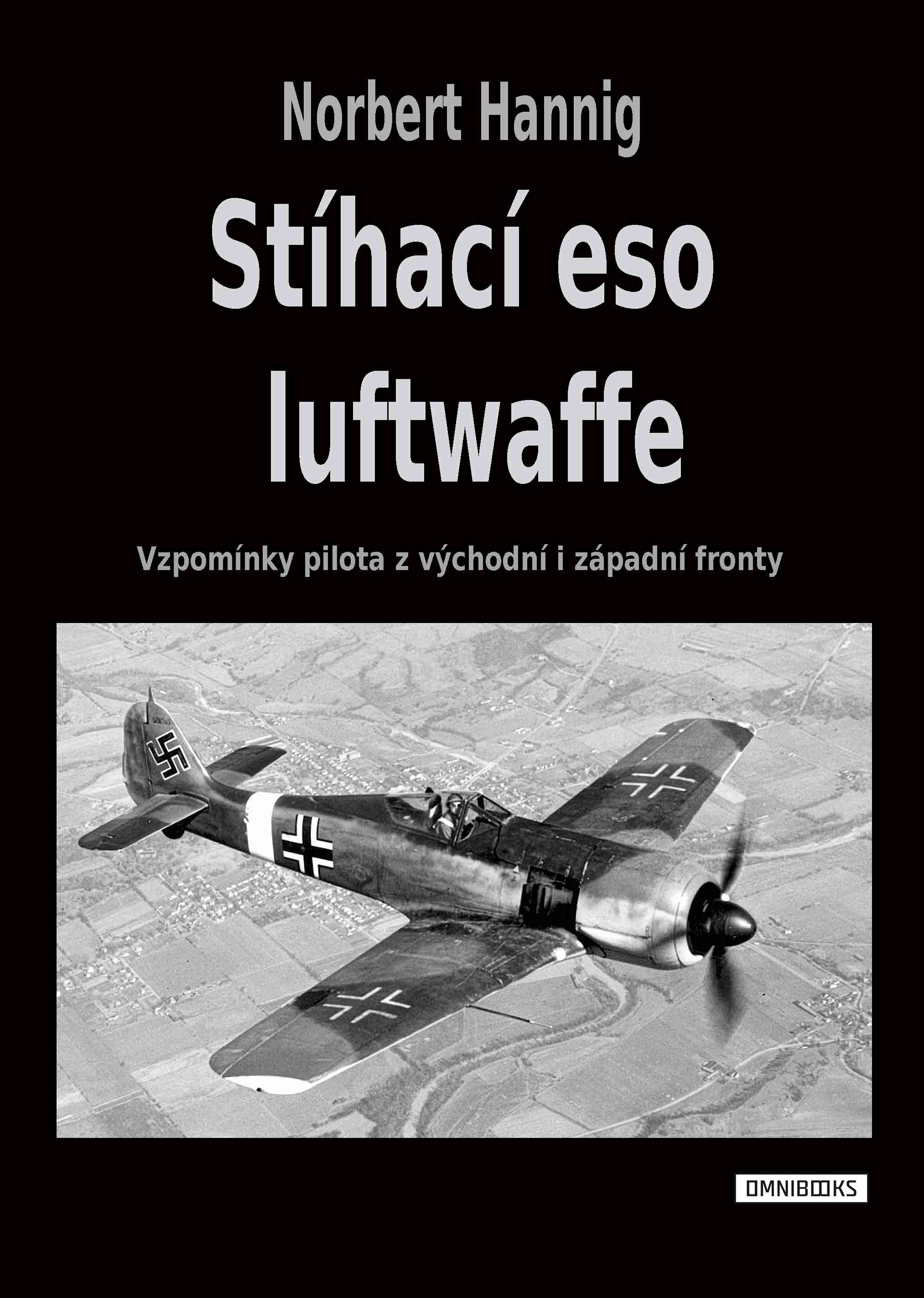 Pilot luftwaffe